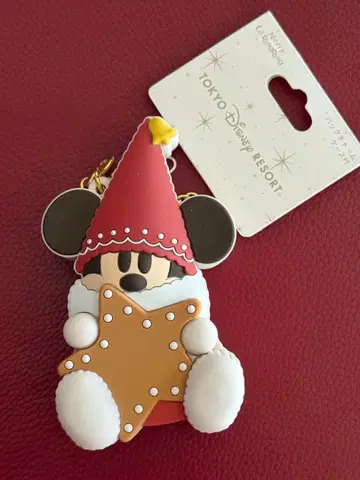 디즈니 릴린린 2025 백참 케이스 포함