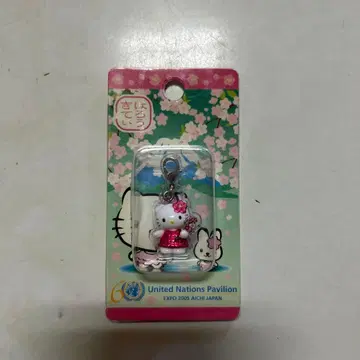 지역 한정 키티