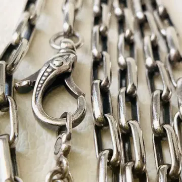 레어 라이온 하트 목걸이 starring 체인 롱 목걸이