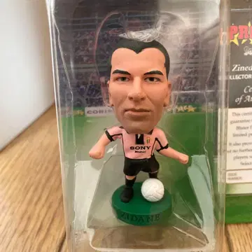 코린시안 셀렉 500 지단