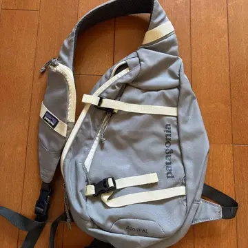 patagonia Atom 8L 바디백 그레이