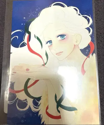 나의 마가렛전 한낮의 유성 엽서