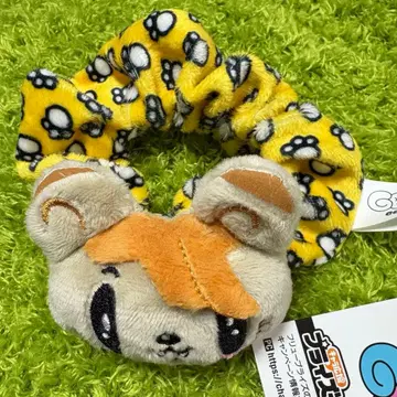 GENERATIONS 제 고양이 스크런치 카타요세 료타