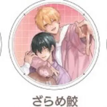 자라메 상어 아크릴 코스터