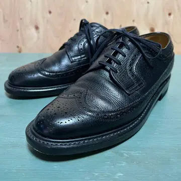 REGAL IMPERIAL GRADE 윙팁 24.5 착용 1회 새상품급