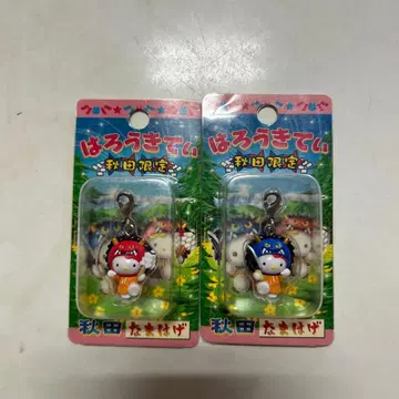 지역 한정 키티