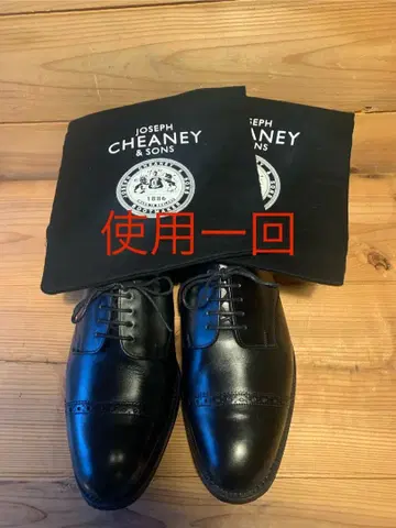 1회 사용 조세프 치니 & 선즈