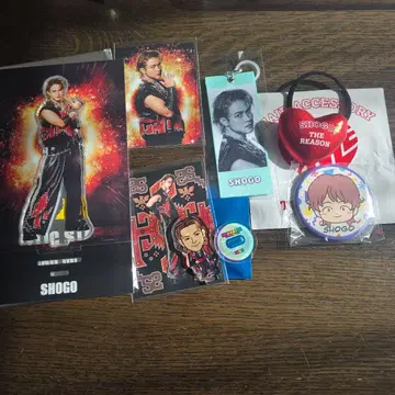 이와타니 쇼고 THE REASON