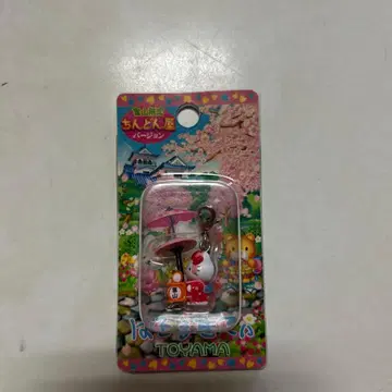 지역 한정 키티