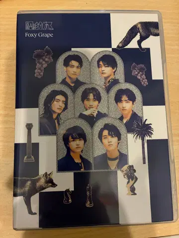 원인은 자신에게 있다. Foxy Grape 관측소 한정판