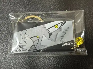 호크스 키링 컬렉션