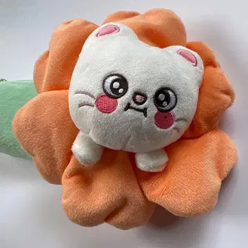 스트레이 키즈. 지니렛 꽃 펜 케이스