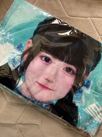 iLiFE! ONELiFE! 온라인 복권 B상 무지개 깃털 미니