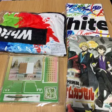 와이텔즈 담요 페이스 타월