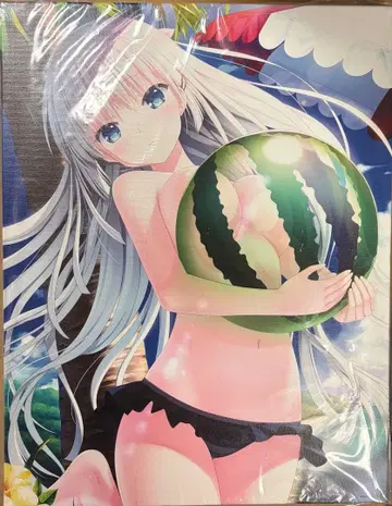 나루세 시로하 서머포켓 캔버스 아트 webpon 복권 메이트 key A상