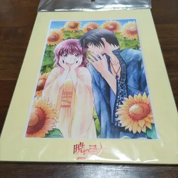 새벽의 연화 A5 캐릭터 파인 매트 A