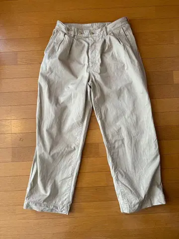 BEAMS LIGHTS 별주 ULTERIOR 스핀 코튼 치노