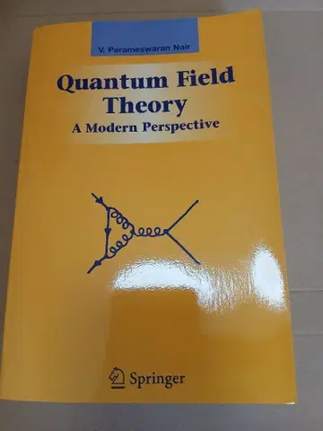 나이아 장론 양자론 외국도서 물리학