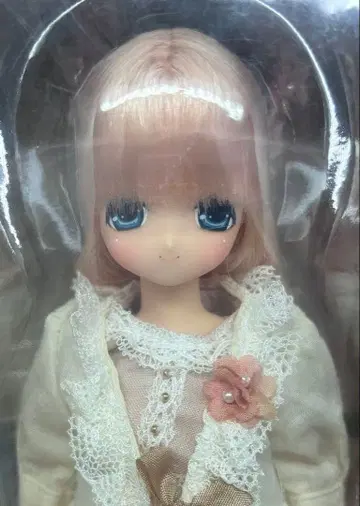 엑스 큐트 오토기노쿠니/미우