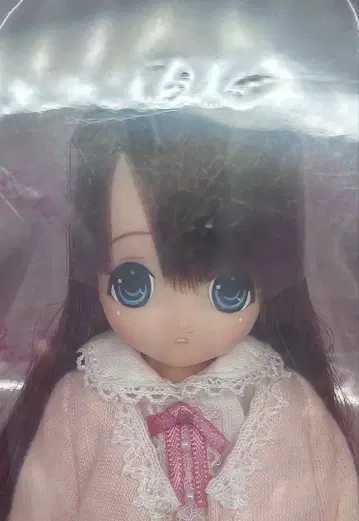 치이카/로맨틱 걸리! IV