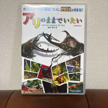 레어! 있는 그대로 있고 싶어 DVD