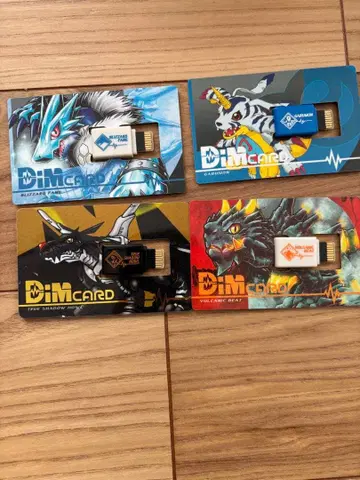 바이탈 블레스 Dim 카드