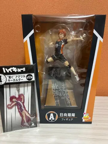 하이큐 히나타 쇼요 피규어
