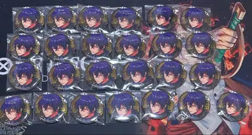 파라라이 ANTHEM 하루오미 캔뱃지 25개