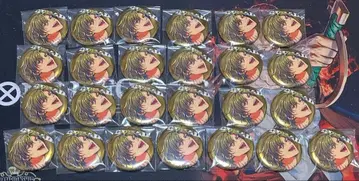 파라라이 ANTHEM 토모이 캔뱃지 25개