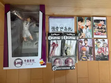 하이큐!! 우시지마 와카토시 피규어 세트