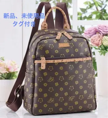 루이 가르시아 럭색 브라운