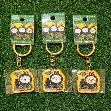 지역 한정 키링 아마미 한정판 아마미 크로우치이카와 하치와레 토끼