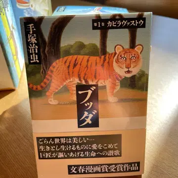 붓다 전 12권 세트