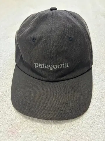 Patagonia 블랙 캡