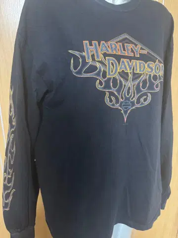 HARLEY-DAVIDSON flame Y2K