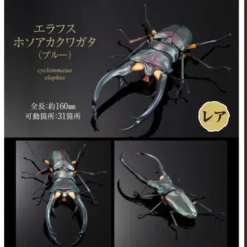 생물대도감 어드밴스 사슴벌레 02 에라푸스 호소아카사슴벌레 (블루)