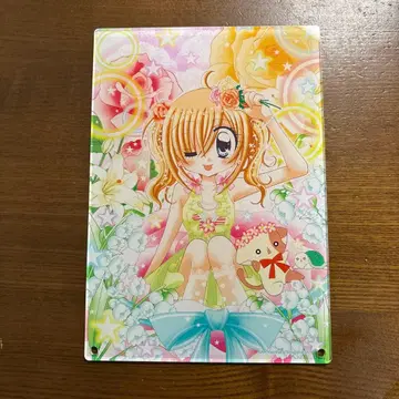 2024년 갈페스 키라링 레볼루션 클리어 스탠드 (키라레보)