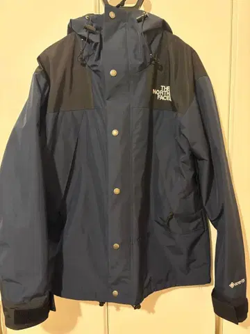THE NORTH FACE 1990 GTX 마운틴 자켓