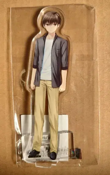 타카하라 하토리 아크릴 피규어 서머 포켓