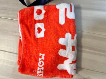 스파풀 오다 이신 초기 타월