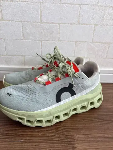 On 러닝화 클라우드 몬스터