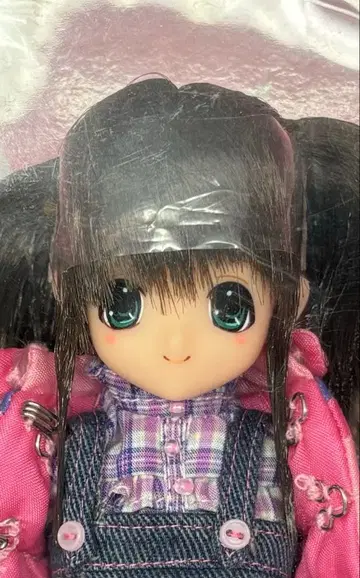 엑스 큐트 패밀리: 치사/Meets Snotty Cat