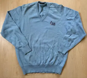 ANSETT 스카이블루 메리노울 스웨터