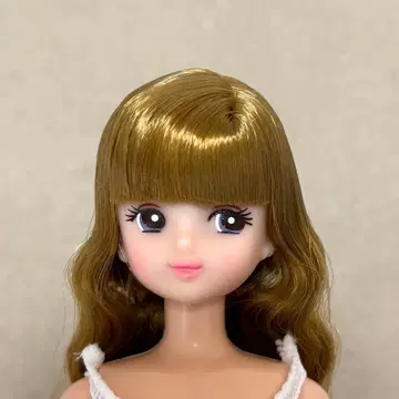 리본짱 2019년 베이직 모델 작은 가게 리카짱 캐슬