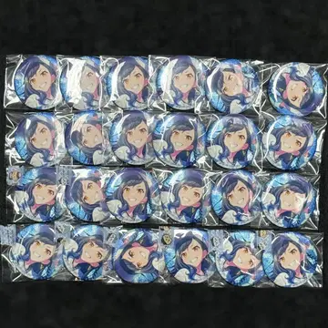 프로세카 시로이시 안 캔뱃지 24개 16C