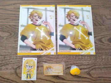 컬러풀 피치 타츠룬 묶음 판매