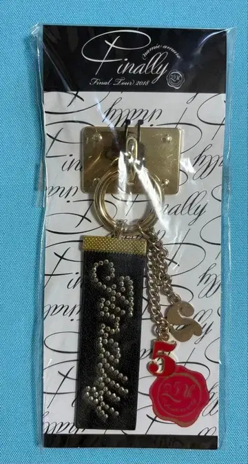 아무로 나미에 Finally 키링 리본 스크런치 2개 세트