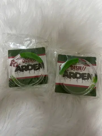 DISH// 라이트 뱅글