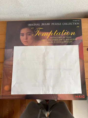 히구치 카나코 LP형 직소 퍼즐