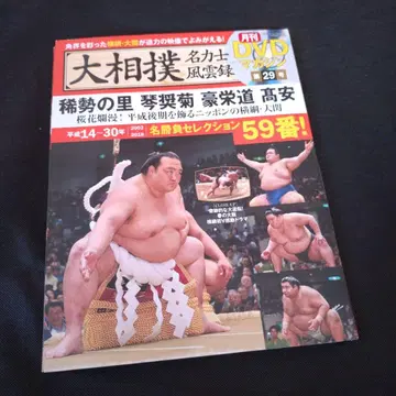 대스모 명력사 풍운록 29